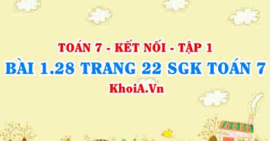 Bài 1.28 trang 22 SGK Toán 7 tập 1 Kết nối tri thức